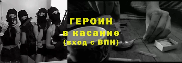 сатива Новодвинск