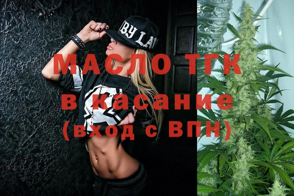 сатива Новодвинск