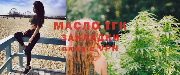 сатива Новодвинск