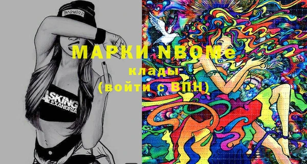 сатива Новодвинск